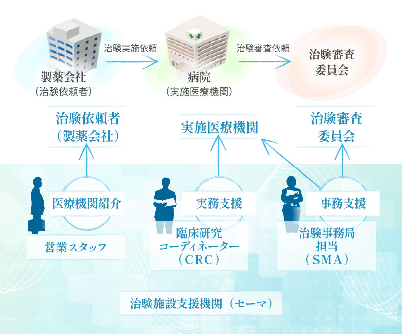 治験の流れとセーマの支援